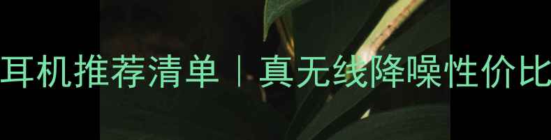 图片 vivo耳机推荐清单｜真无线降噪性价比全🎧