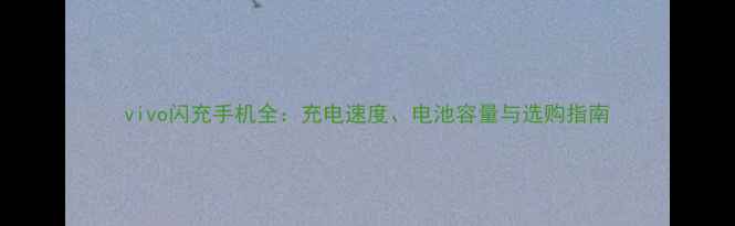 图片 vivo闪充手机全：充电速度、电池容量与选购指南