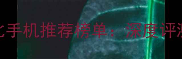 vivo高性价比手机推荐榜单深度评测与选购指南