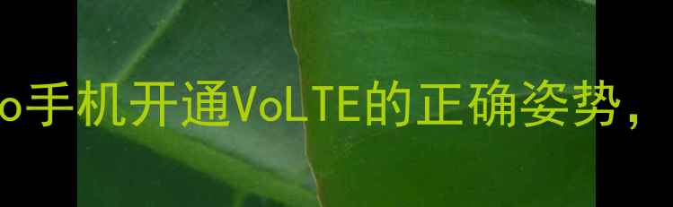 图片 ✅手把手教学！vivo手机开通VoLTE的正确姿势，通话秒变5G网速！2