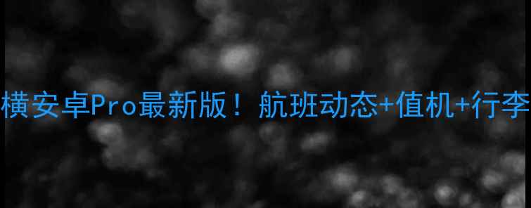 航旅纵横安卓Pro最新版航班动态值机行李追踪全攻略