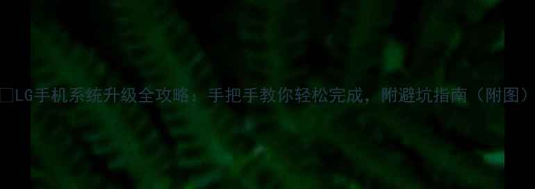 LG手机系统升级全攻略手把手教你轻松完成附避坑指南附图