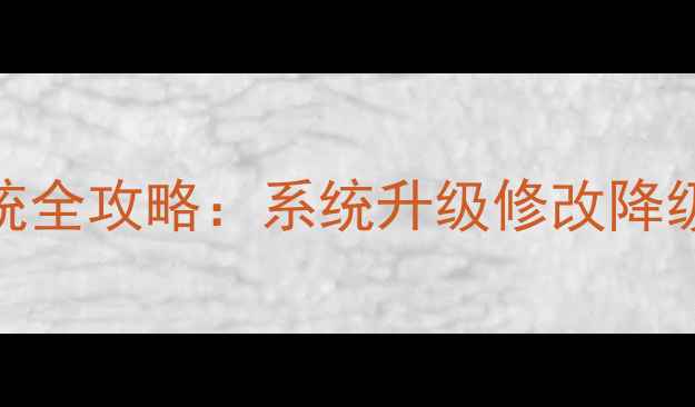 一加手机刷系统全攻略系统升级修改降级全与风险预警
