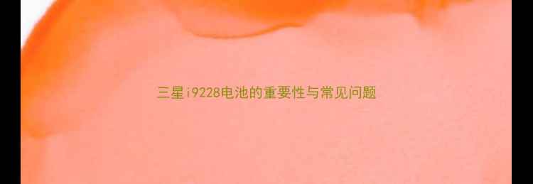 图片 三星i9228电池的重要性与常见问题