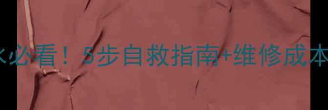 不可拆卸电池手机进水必看5步自救指南维修成本防水手机选购攻略
