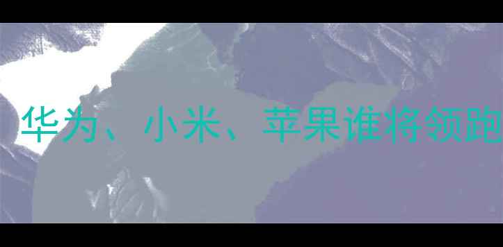 图片 中国手机市场份额深度：华为、小米、苹果谁将领跑未来？附选购避坑指南2