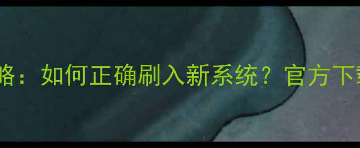 图片 乐视手机系统升级全攻略：如何正确刷入新系统？官方下载地址与操作步骤详解2