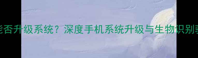 关闭手机验证后能否升级系统深度手机系统升级与生物识别验证的兼容性问题