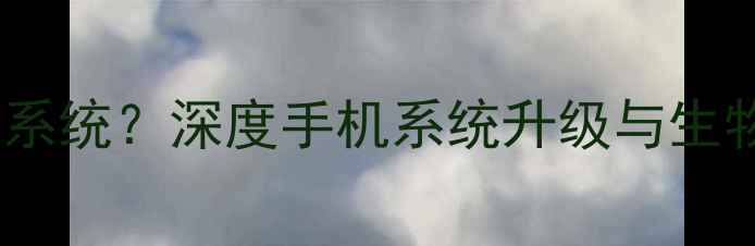 图片 关闭手机验证后能否升级系统？深度手机系统升级与生物识别验证的兼容性问题2