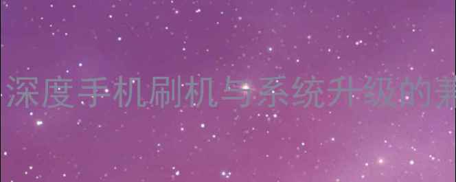 图片 刷机后能否升级系统？深度手机刷机与系统升级的兼容性问题及操作指南2