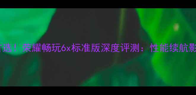 图片 千元机首选！荣耀畅玩6x标准版深度评测：性能续航影像全面1