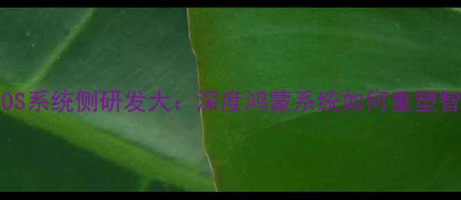 图片 华为HarmonyOS系统侧研发大：深度鸿蒙系统如何重塑智能手机体验1