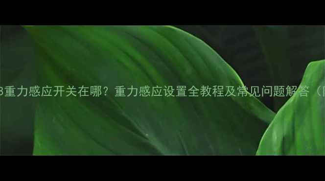 图片 华为Mate8重力感应开关在哪？重力感应设置全教程及常见问题解答（附图文）2