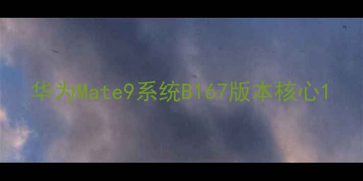 图片 华为Mate9系统B167版本核心1