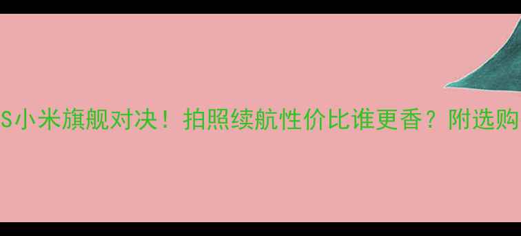 图片 华为VS小米旗舰对决！拍照续航性价比谁更香？附选购指南1