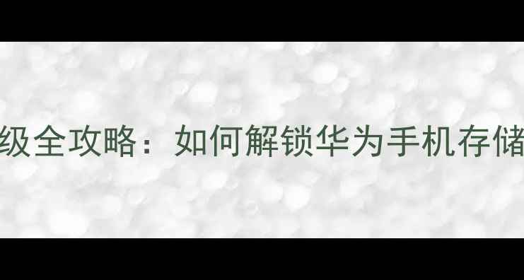 图片 华为W2-SD卡升级全攻略：如何解锁华为手机存储性能新高度？2