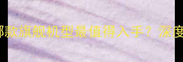 图片 华为手机全：哪款旗舰机型最值得入手？深度对比六大系列2