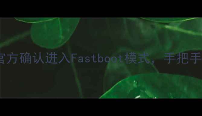图片 华为手机新功能曝光！官方确认进入Fastboot模式，手把手教你如何快速刷机升级2