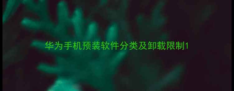 图片 华为手机预装软件分类及卸载限制1