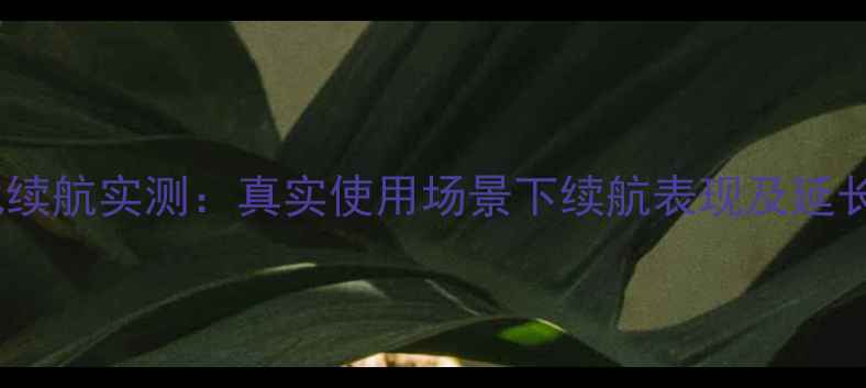 图片 华为手表电池续航实测：真实使用场景下续航表现及延长技巧大公开2