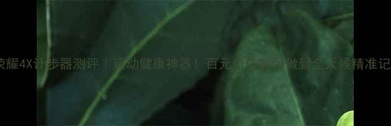 图片 华为荣耀4X计步器测评｜运动健康神器！百元价位如何做到全天候精准记录？2