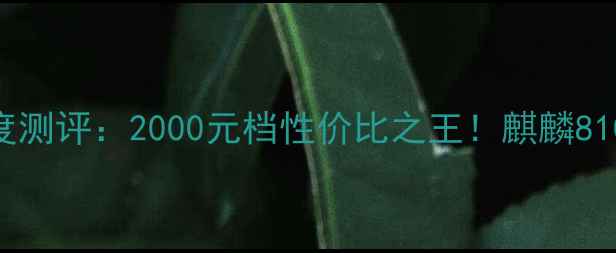 图片 华为荣耀8深度测评：2000元档性价比之王！麒麟810+4800万主摄
