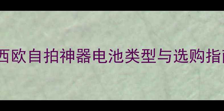 图片 卡西欧自拍神器电池类型与选购指南1