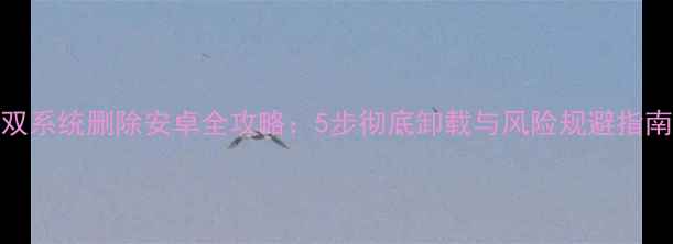 图片 双系统删除安卓全攻略：5步彻底卸载与风险规避指南