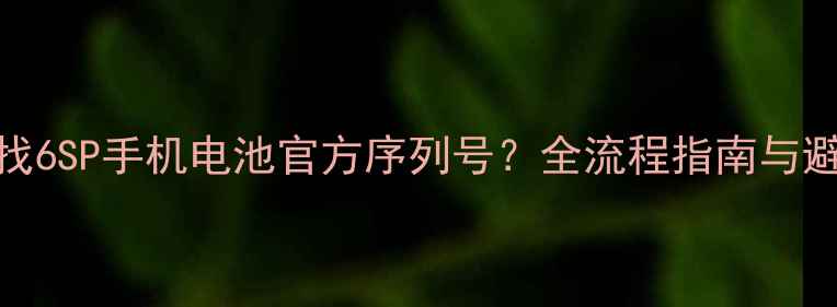 如何查找6SP手机电池官方序列号全流程指南与避坑提醒