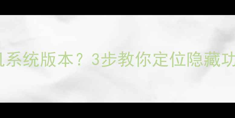 图片 如何查看OPPO手机系统版本？3步教你定位隐藏功能与IMEI码查询2