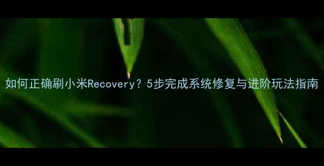 图片 如何正确刷小米Recovery？5步完成系统修复与进阶玩法指南