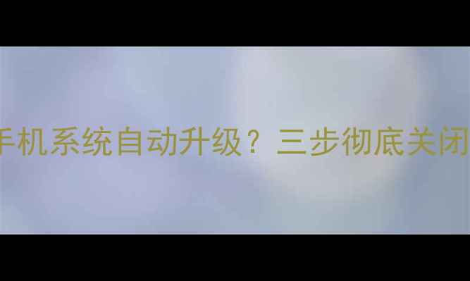 图片 如何禁止小米手机系统自动升级？三步彻底关闭权限+风险预警