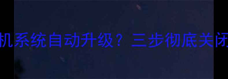 如何禁止小米手机系统自动升级三步彻底关闭权限风险预警