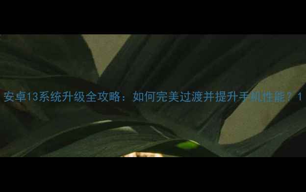 安卓13系统升级全攻略如何完美过渡并提升手机性能