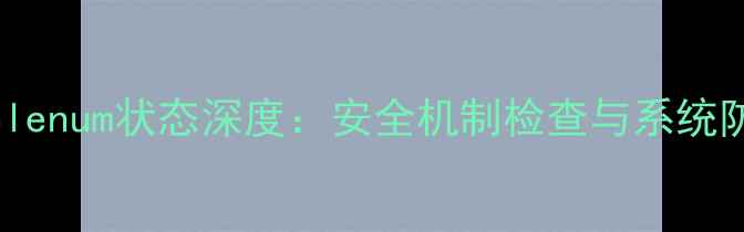 图片 安卓手机Selenum状态深度：安全机制检查与系统防护全指南1