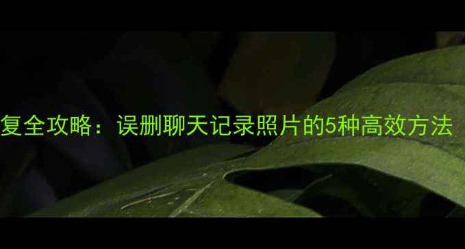 图片 安卓手机微信恢复全攻略：误删聊天记录照片的5种高效方法（附详细步骤）2