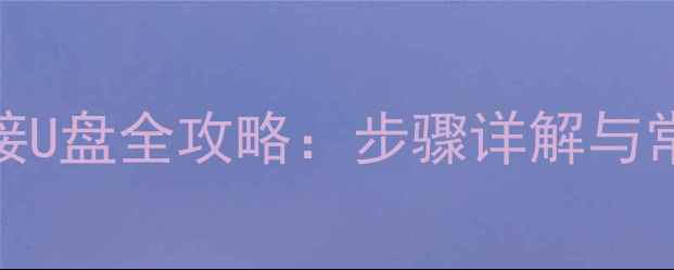 图片 安卓手机连接U盘全攻略：步骤详解与常见问题解决