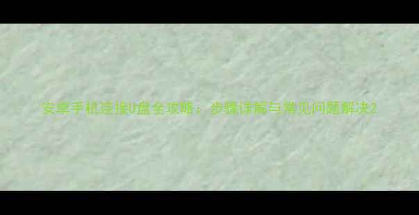 图片 安卓手机连接U盘全攻略：步骤详解与常见问题解决2