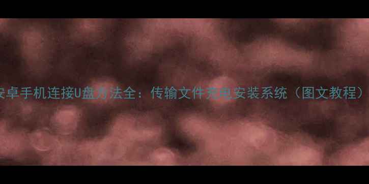 图片 安卓手机连接U盘方法全：传输文件充电安装系统（图文教程）1