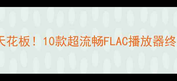 图片 安卓无损音质天花板！10款超流畅FLAC播放器终极对比与推荐1