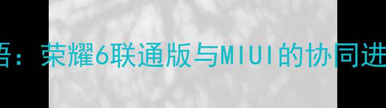 图片 导语：荣耀6联通版与MIUI的协同进化1