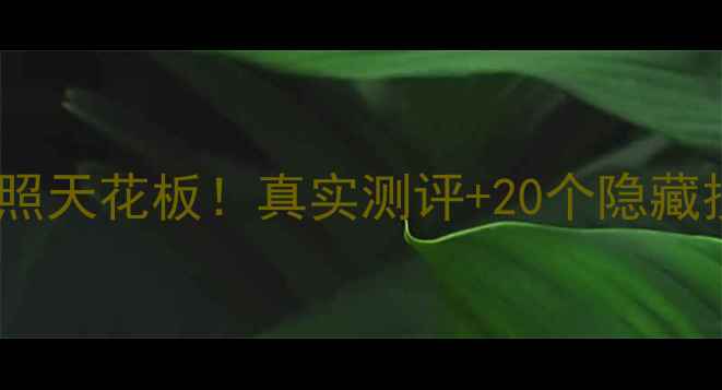 小米6Mix2拍照天花板真实测评20个隐藏技巧大公开