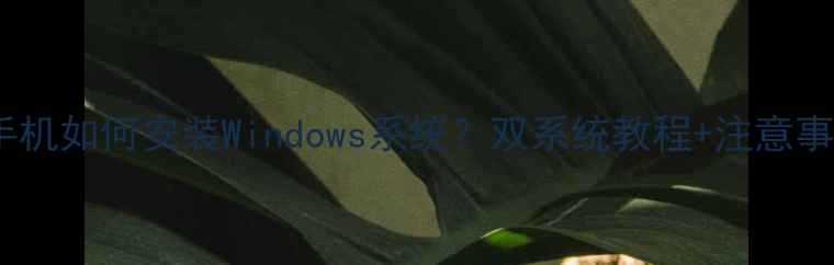 图片 小米手机如何安装Windows系统？双系统教程+注意事项全2