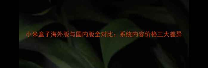 小米盒子海外版与国内版全对比系统内容价格三大差异
