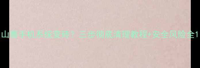 图片 山寨手机系统变砖？三步彻底清理教程+安全风险全1