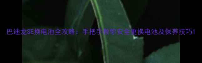 巴迪龙SE换电池全攻略手把手教你安全更换电池及保养技巧