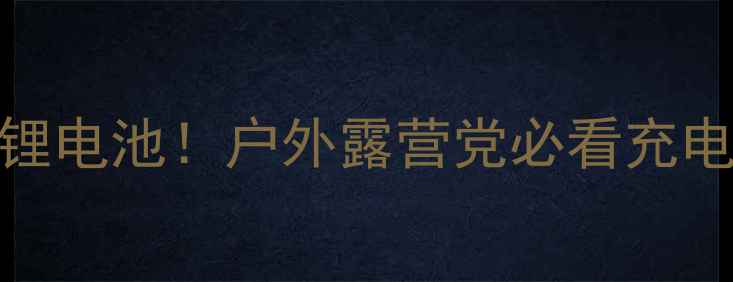 干电池充电宝vs锂电池户外露营党必看充电宝选购指南