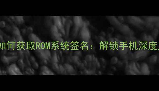 图片 手把手教你如何获取ROM系统签名：解锁手机深度定制全攻略1