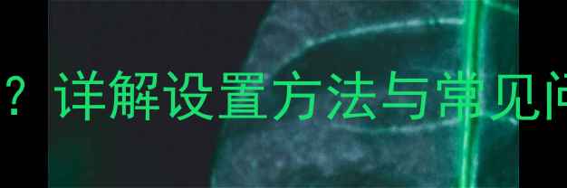 图片 手机APN是什么意思？详解设置方法与常见问题（附图文教程）