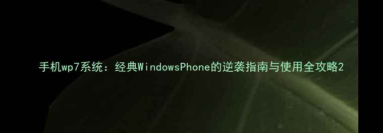 手机wp7系统经典WindowsPhone的逆袭指南与使用全攻略